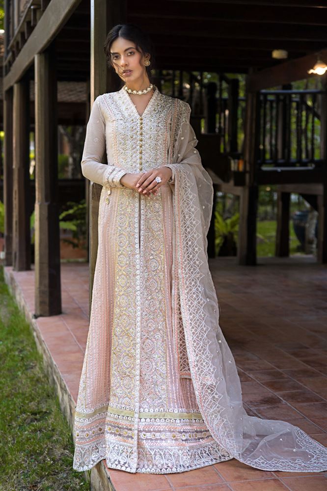 Mushq Fancy Collection - Elegant Embroidered Designs